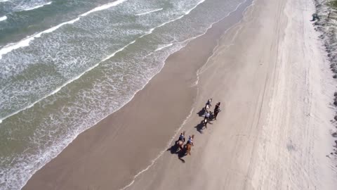 Group on Horses Along Beach, Waves