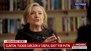 Hillary Clinton Accidentally Describes Her Own Party