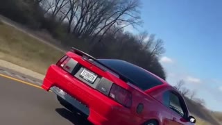 Mustang Mach 1 Cruising