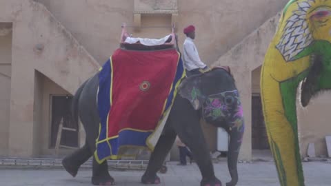 Amer Fort Jaipur Rajasthan India 21 Elephants