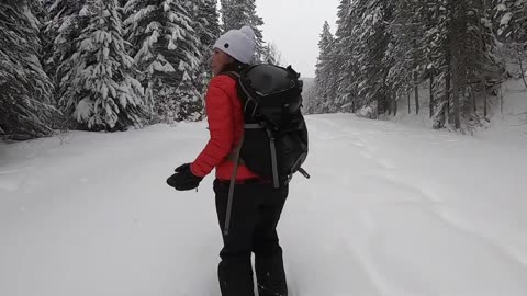 Most Underrated National Park in WINTER- Emerald Lake Lodge, Natural Bridge, Wapta Falls