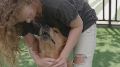 woman petting a dog