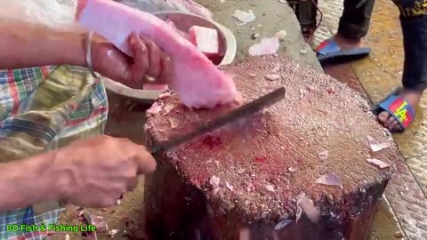 Amazing Big Katla Carp Fish Cutting & Chopping By Expert Fish Cutter 2022 →