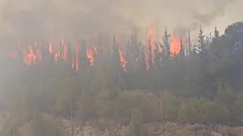 Fires set daily near Jerusalem