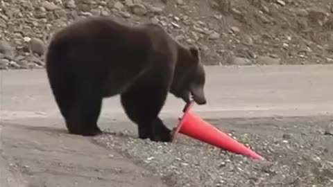 BEAR KNOW HOW... Highway Maintenance Specialist !