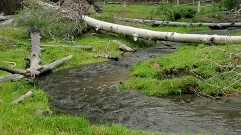 Beautiful stream at Boulder Mountain