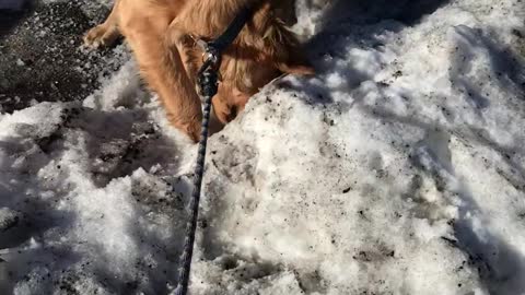 First Snow Day