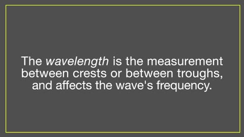 Physics of Waves: The Physics of Waves: Transverse