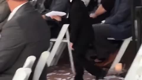Toddler add some comedy to a wedding! - Ring Bearer Fails