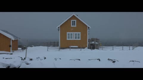 A Journey North | Norway Travel Film 4K - Video by Stephen Norman