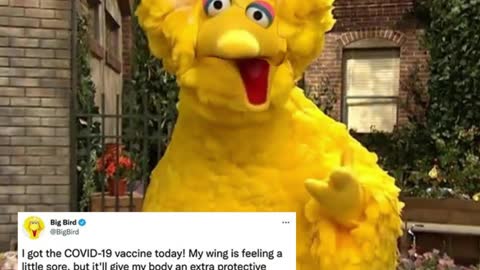 Big Bird received his COVID-19 vaccine!