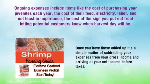 How Profitable Is Shrimp Farming