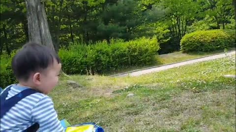 A baby that interacts with a pigeon