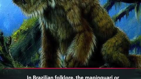 10 Most Chilling Discoveries Made In Brazil #Rumble