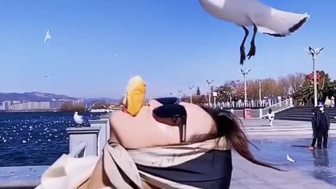 woman sharing snack with birds