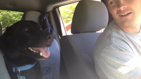 Dog Makes Funny Noises