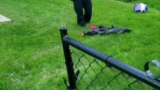 Cops Rescue Themselves from Tiny Snake