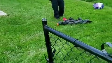 Cops Rescue Themselves from Tiny Snake