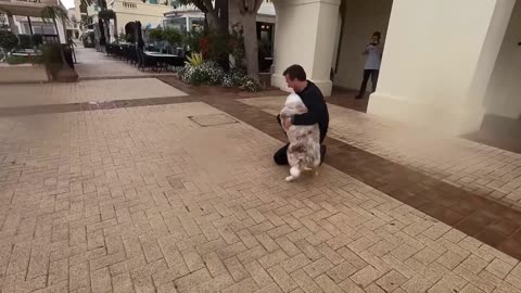 Animals Reunited with their Owners