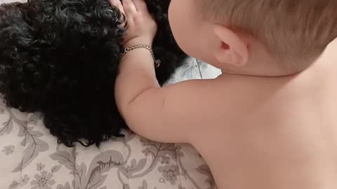 babyboy and dog black poodle blackdog