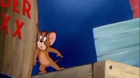 Tom and Jerry cartoon video