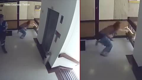 Mom saves toddler from falling down a stairwell