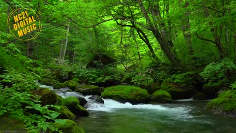 5 Hours with Sounds of Nature Birds, Running Water, Creek, Relaxing Music for Sleeping 5