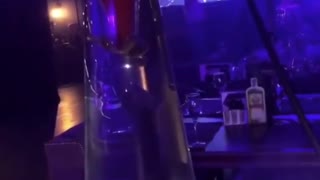 Fury Over Club Serving Glass Hookahs With Live Turtles