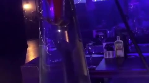 Fury Over Club Serving Glass Hookahs With Live Turtles