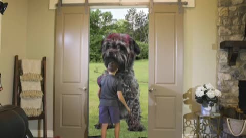 Cam Discover Giant Dog