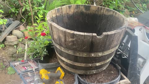 Self watering wine barrel