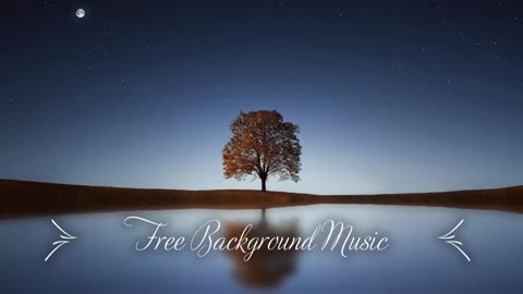 Hour Upbeat Background Music (Best MBB Music Collection) Free Download, No Copyright