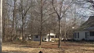 Black lab loving the sunshine on a winter day