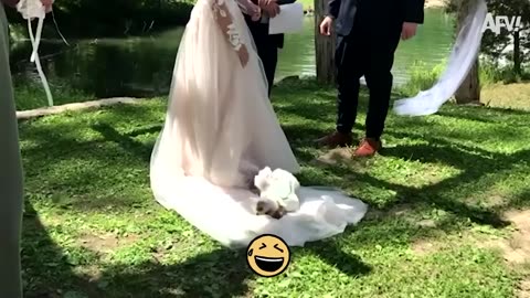 Happily EVER After | Epic Wedding FAILS