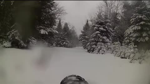 Fat biking in some fresh snow.