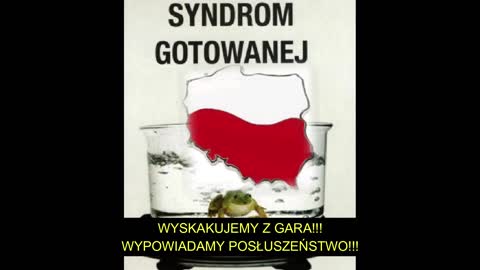 Polacy to mądry naród lecz tylko ogłupiony zabije ich niezdolność do podjęcia decyzji