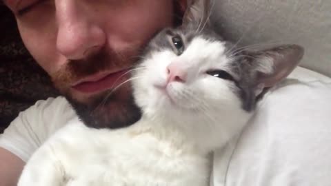 Every Morning, This Adorable Kitty Greets His Human In The Sweetest Way Possible