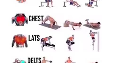 Full body exercise