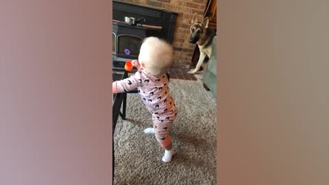 Babies Playing With Dogs Compilation