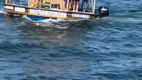 Floating Tiki Bar Stuns Onlookers
