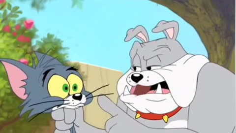 Tennis Player Tom | Funny Cartoon Videos | Tom and Jerry