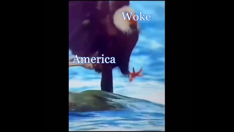 America vs Woke Mind Virus