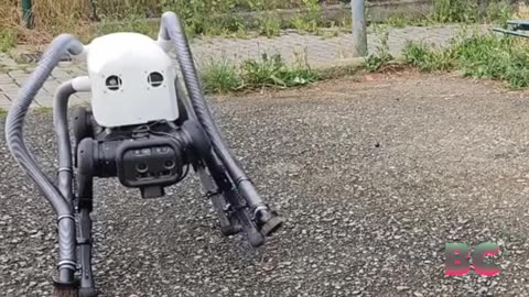 Robot Dog Cleans Up Beaches With Foot-Mounted Vacuums