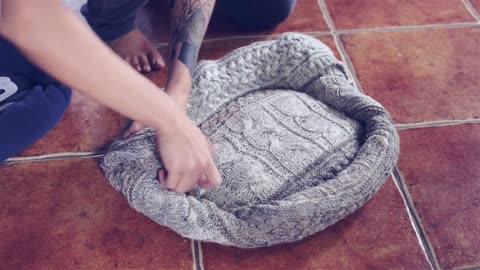 Dog bed with an old sweater with his own hands. Handmade.