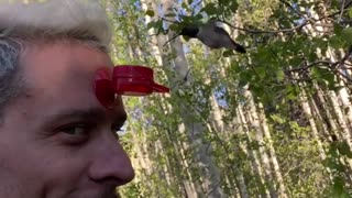 Bird Feeds From Forehead