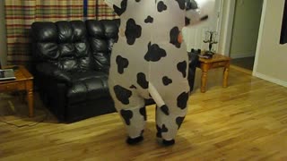 Dancing Mom In Crazy Cow Costume Looks Udderly Hysterical With Great Moooves