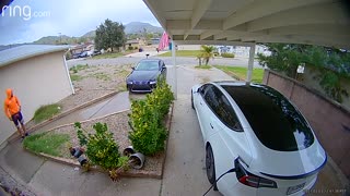 Delivery Driver's Runaway Lexus Rolls into Garden