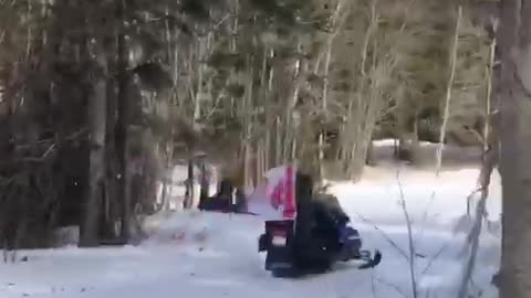 Snowmobile Patriot