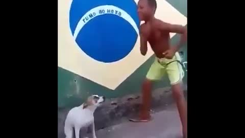 Funny dog dancing with a boy 🤩🕺🐕