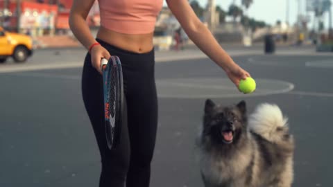 Dog training video